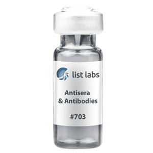 抗血清和抗体|产品#703