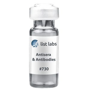 抗血清和抗体|产品#730