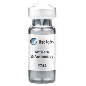抗血清和抗体|产品＃752