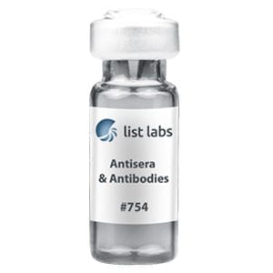 抗血清和抗体|产品号754