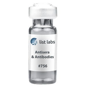 抗血清和抗体|产品#756