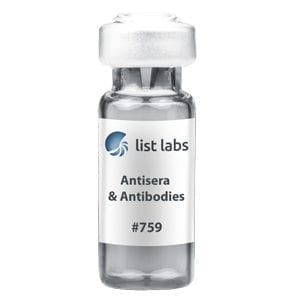抗血清和抗体|产品#759
